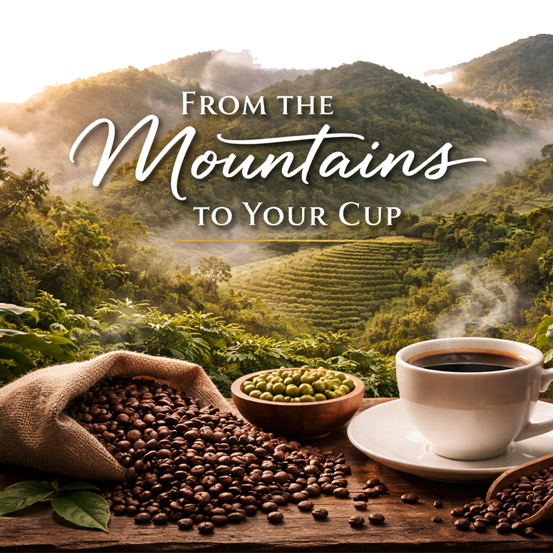 From the Mountains of Puerto Rico to Your Cup: The Story Behind Every Sip