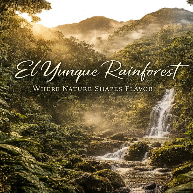 El Yunque Rainforest: Where Nature Shapes Every Flavor