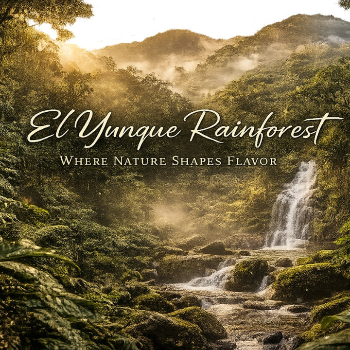 El Yunque Rainforest: Where Nature Shapes Every Flavor