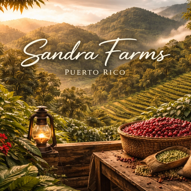 Sandra Farms Coffee: Tradition Rooted in the Mountains of Puerto Rico